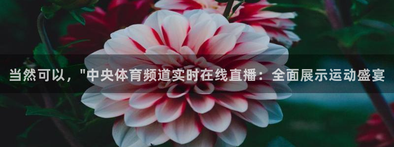 当然可以，\