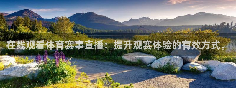 在线观看体育赛事直播：提升观赛体验的有效方式。