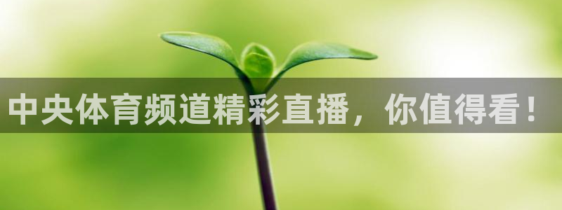中央体育频道精彩直播，你值得看！