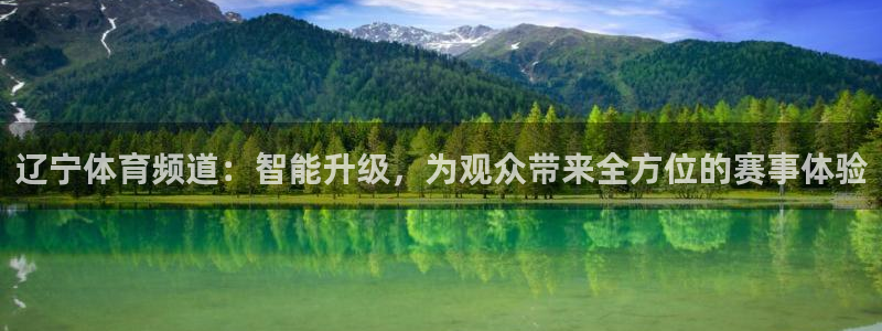 辽宁体育频道：智能升级，为观众带来全方位的赛事体验