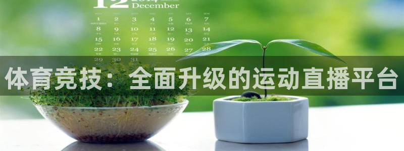 体育竞技：全面升级的运动直播平台
