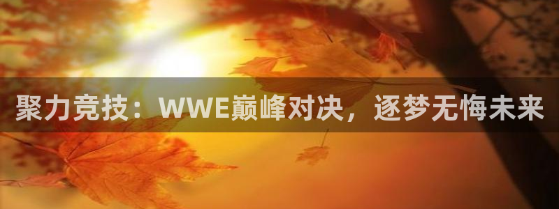 聚力竞技：WWE巅峰对决，逐梦无悔未来