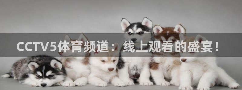 CCTV5体育频道：线上观看的盛宴！
