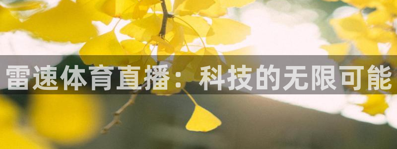 雷速体育直播：科技的无限可能