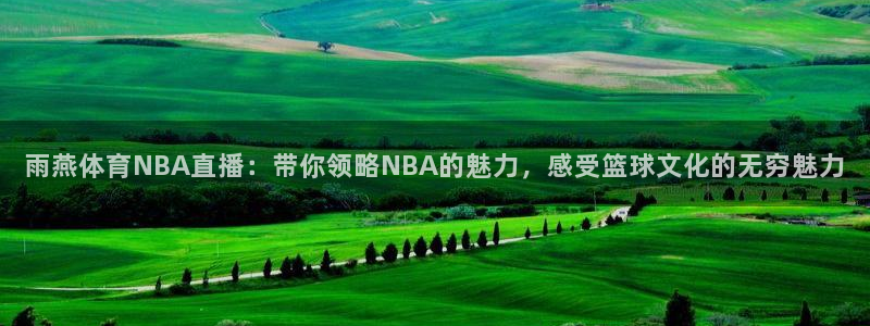 雨燕体育NBA直播：带你领略NBA的魅力，感受篮球文化的无穷魅力
