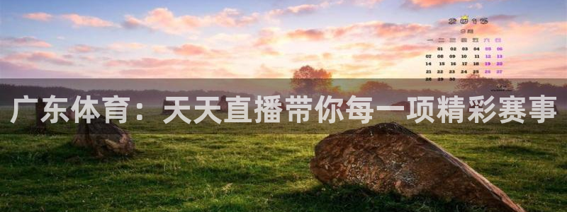 广东体育：天天直播带你每一项精彩赛事