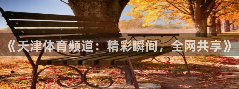 《天津体育频道：精彩瞬间，全网共享》