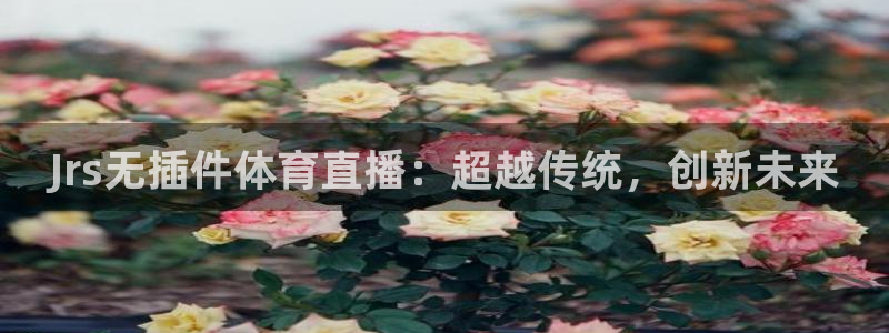 Jrs无插件体育直播：超越传统，创新未来