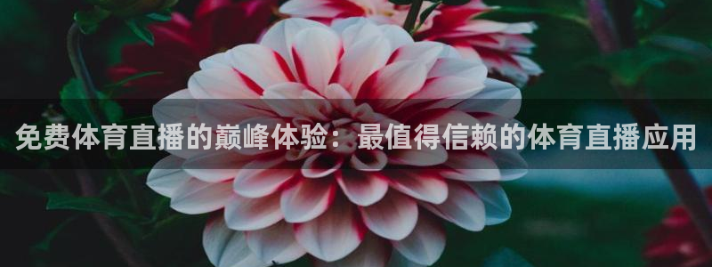 免费体育直播的巅峰体验：最值得信赖的体育直播应用