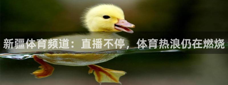 新疆体育频道：直播不停，体育热浪仍在燃烧
